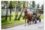 Piesza pielgrzymka do Łagiewnik 2016